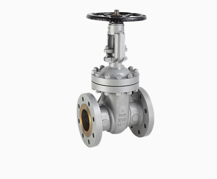 Cast Steel Gate Valve