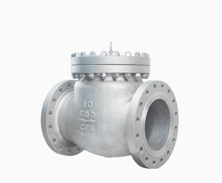 Cryogenic Check Valve