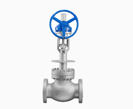 Cryogenic Globe Valve
