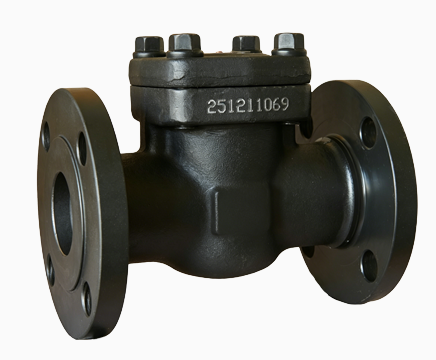 Forged Steel Check Valve