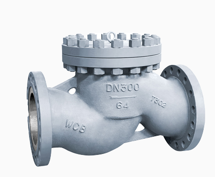 Lift Check Valve