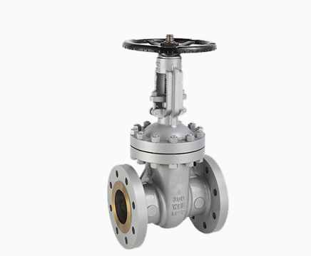 Rising Stem Gate Valve