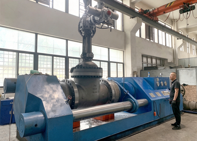 Why Importers and Distributors Choose SAVVY's Gate Valves as Their Supply Partner