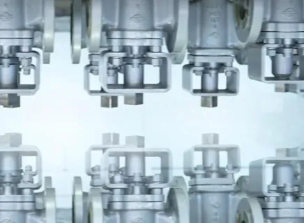 WCB Plug Valves