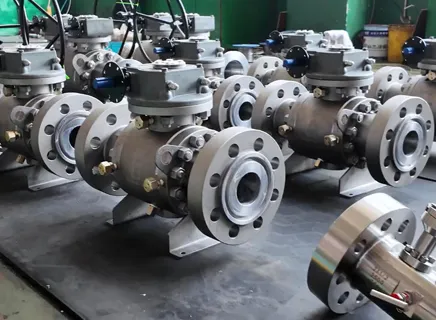 Double Block and Bleed Ball Valve