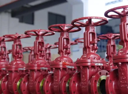 WCB 4“ 150LB Gate Valve