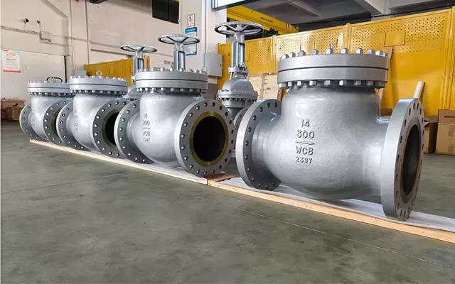 Check Valves