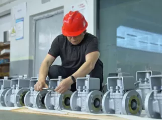 globe style valve