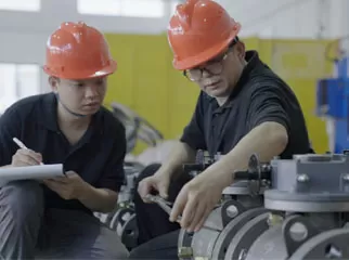 globe type check valve