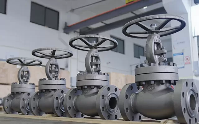 Globe Valves