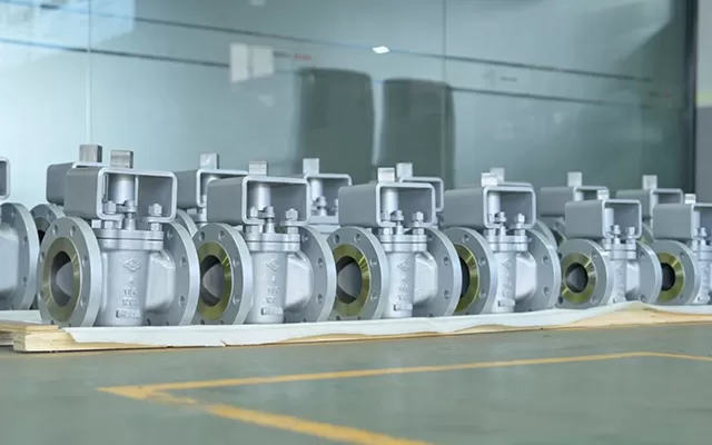 Plug Valve