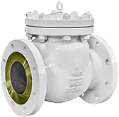 Swing Check Valve